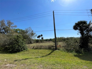 We are pleased to present 56.16 Acres of Vacant Land on SR 70 - photo 4