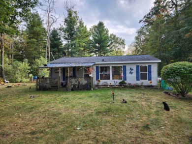 Shingle Lake Home For Sale in Lake Michigan