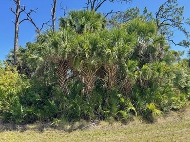 Build your Florida dream home on this oversized corner lot in - photo 3