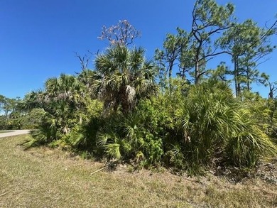 Build your Florida dream home on this oversized corner lot in - photo 4
