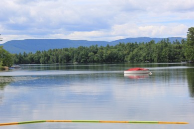 Squam Lake Acreage For Sale in Moultonborough New Hampshire