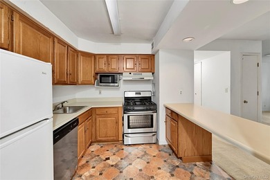 Soundview Terrace Condo is just steps from the New Rochelle's - photo 6