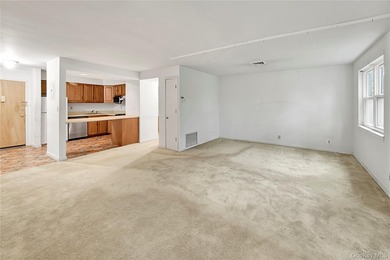 Soundview Terrace Condo is just steps from the New Rochelle's - photo 8
