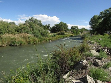 (private lake, pond, creek) Commercial For Sale in Montrose Colorado