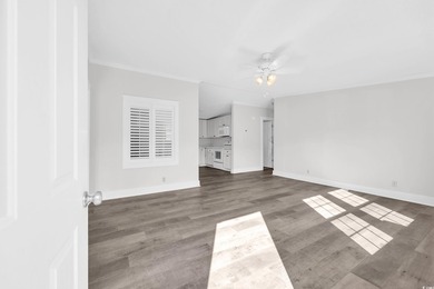 Welcome to 274 Saint Christopher Circle, a fully renovated - photo 7