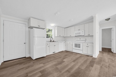 Welcome to 274 Saint Christopher Circle, a fully renovated - photo 8