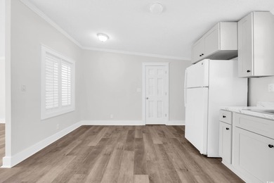 Welcome to 274 Saint Christopher Circle, a fully renovated - photo 10