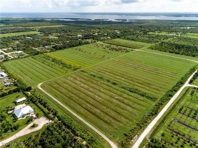 102.3 Acres...Located at the North end of Pine Island at the - photo 5