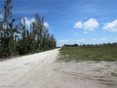 102.3 Acres...Located at the North end of Pine Island at the - photo 6