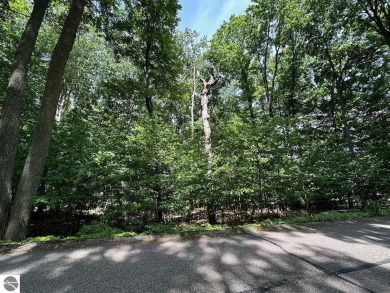 Lake Lot For Sale in Bellaire, Michigan