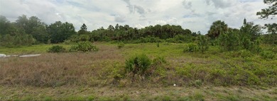 Lehigh Acres Area Lot For Sale in Lehigh Acres Florida