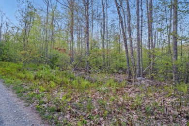 Lake Acreage For Sale in Holden, Maine