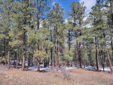 Lake Lot For Sale in Pagosa Springs, Colorado