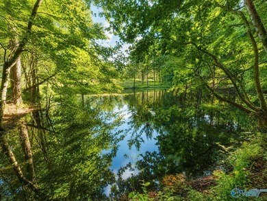 Additional listing photo 3