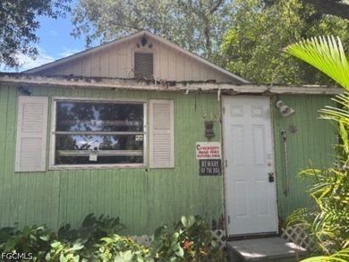 AUCTION. Affordable fixer upper will require your renovation - photo 1