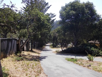 Rare opportunity to acquire the Morton Mobile Home Park, a - photo 4