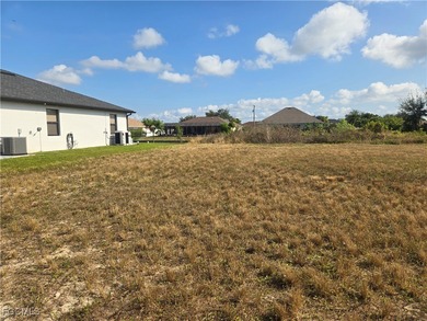 Perfectly situated in the heart of Cape Coral, this beautiful - photo 3