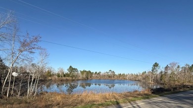 Lake Lot For Sale in Lyons, Georgia