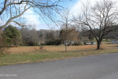 Norris Lake Lot For Sale in Speedwell Tennessee
