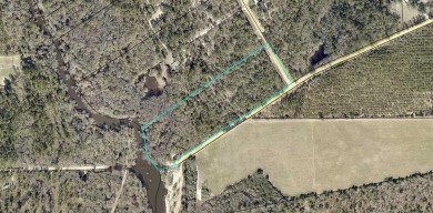 Lake Acreage For Sale in Collins, Georgia