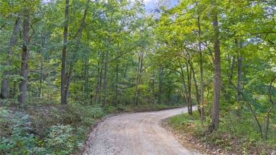 Nearly 80 acres of Lake of the Ozarks land in Gravois Mills, MO - photo 2