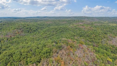 Nearly 80 acres of Lake of the Ozarks land in Gravois Mills, MO - photo 5