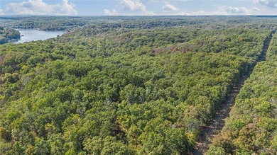 Nearly 80 acres of Lake of the Ozarks land in Gravois Mills, MO - photo 6
