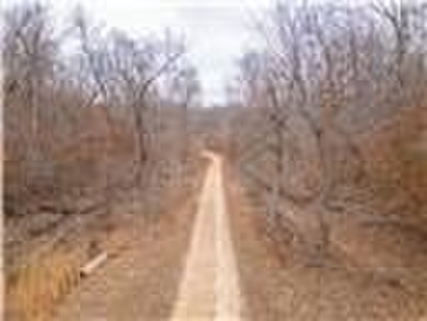 Nearly 80 acres of Lake of the Ozarks land in Gravois Mills, MO - photo 8