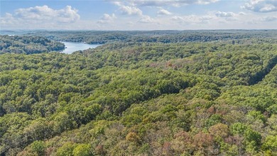 Nearly 80 acres of Lake of the Ozarks land in Gravois Mills, MO - photo 9