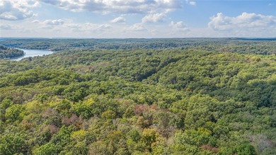 Nearly 80 acres of Lake of the Ozarks land in Gravois Mills, MO - photo 10