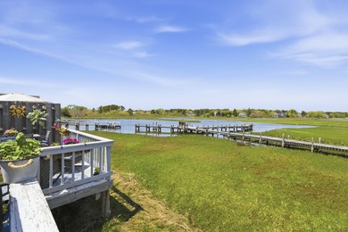 Some Cape Cod summers are rented. This one is owned. Swan River - photo 21