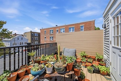 Welcome to Studio 55, a masterfully converted shoe factory - photo 28