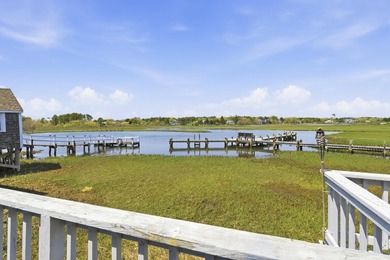 Some Cape Cod summers are rented. This one is owned. Swan River - photo 31