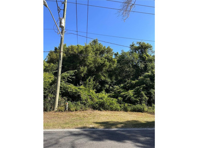 Great lot located close to the new Mary Sue Rich community - photo 1