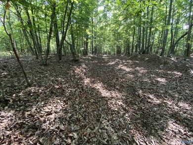 Discover the perfect blend of beauty, privacy, and recreation - photo 2