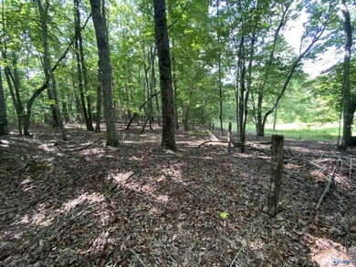 Discover the perfect blend of beauty, privacy, and recreation - photo 4