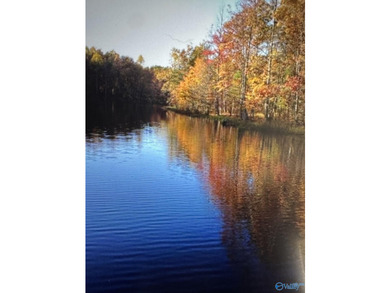 Discover the perfect blend of beauty, privacy, and recreation - photo 10