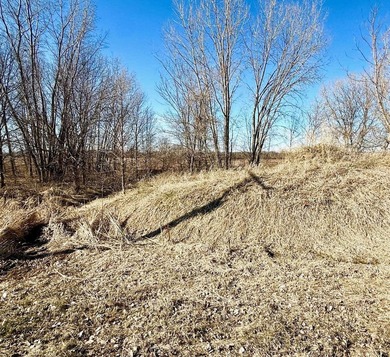Great opportunity to build your dream home on this beautiful lot - photo 5