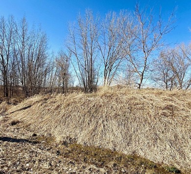 Great opportunity to build your dream home on this beautiful lot - photo 6