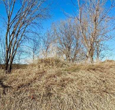 Great opportunity to build your dream home on this beautiful lot - photo 7