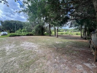 Lake Lot For Sale in Salt Springs, Florida