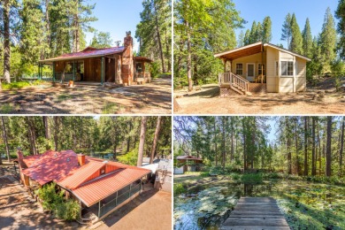 (private lake, pond, creek) Home For Sale in Manton California
