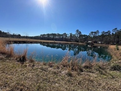 Lake Home For Sale in Vidalia, Georgia