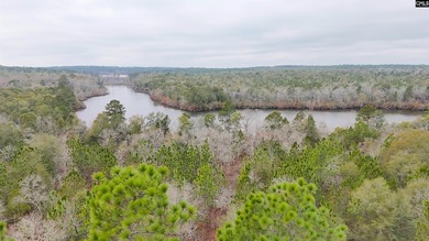 (private lake, pond, coastal) Acreage For Sale in Wagener South Carolina