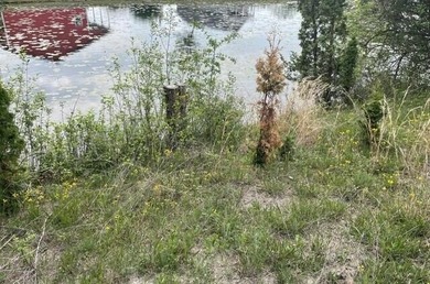 Just over 1 acre Channel Front lot with access to Turtle Lake - photo 2