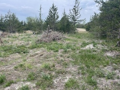 Just over 1 acre Channel Front lot with access to Turtle Lake - photo 4