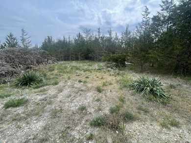 Just over 1 acre Channel Front lot with access to Turtle Lake - photo 5