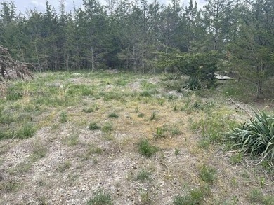 Just over 1 acre Channel Front lot with access to Turtle Lake - photo 6