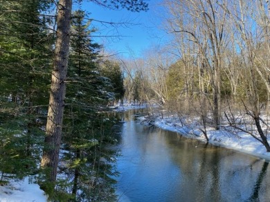 Thunder Bay River Lot For Sale in Hillman Michigan