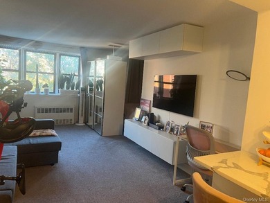 Beautiful Large, L Shaped Studio co-op, with sleeping alcove - photo 8